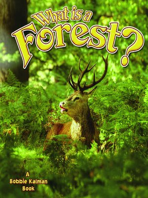 cover image of What is a Forest?